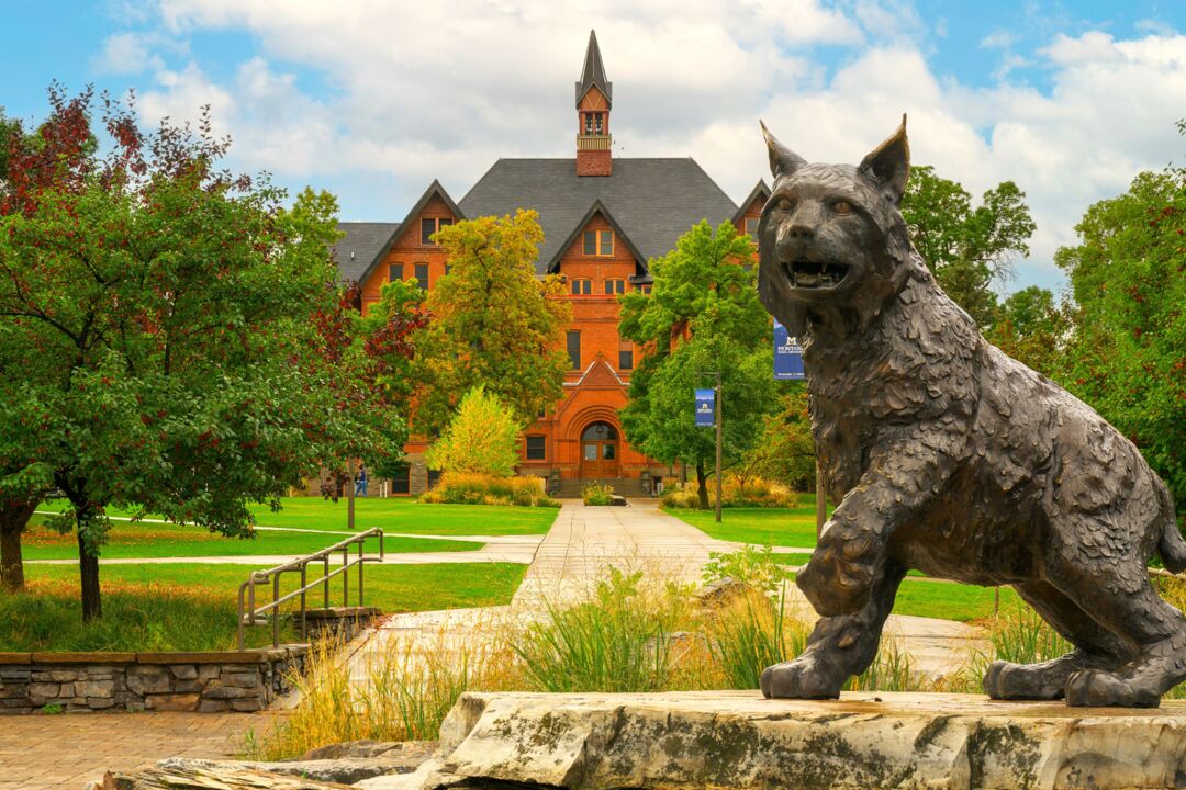 Bozeman destination image