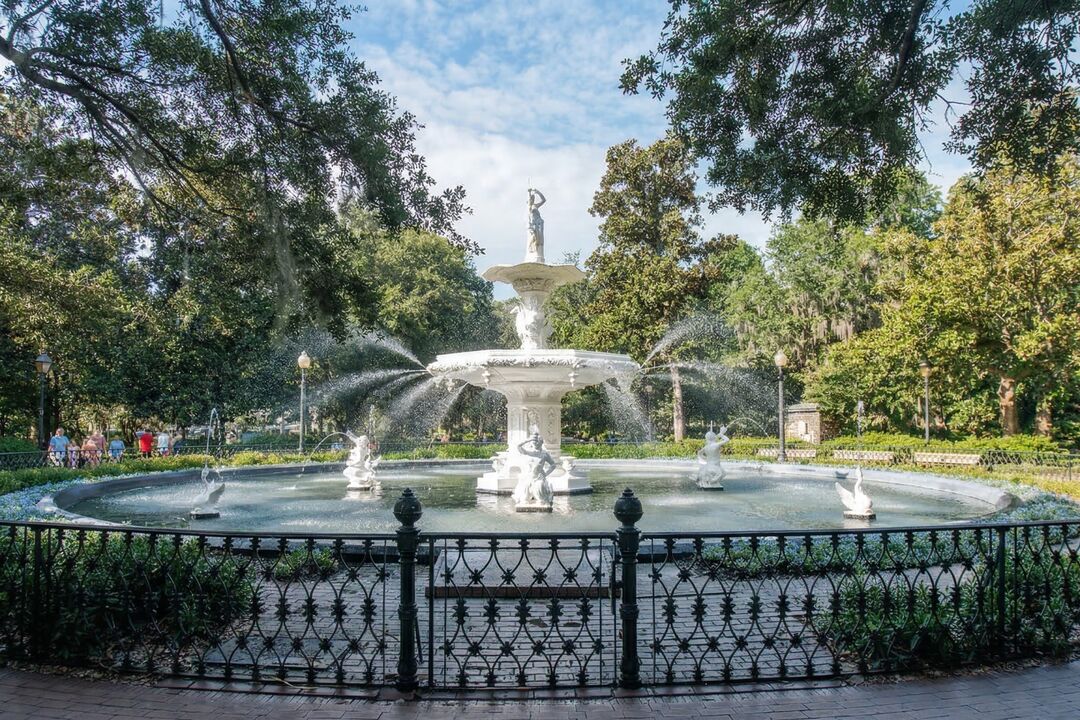 Savannah destination image
